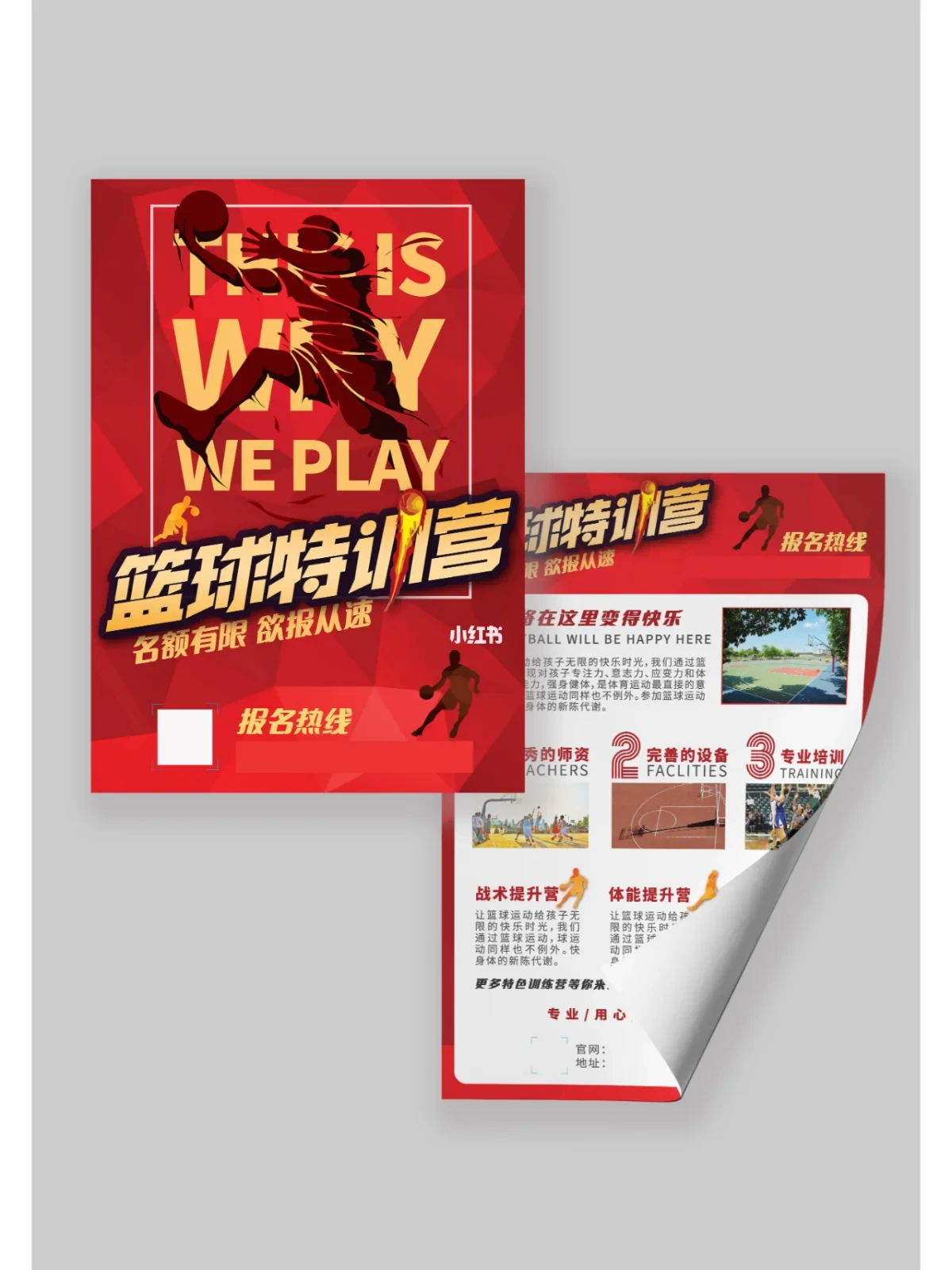 篮球训练营全年班的招生方案怎么写